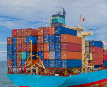 ./website/service_details/2